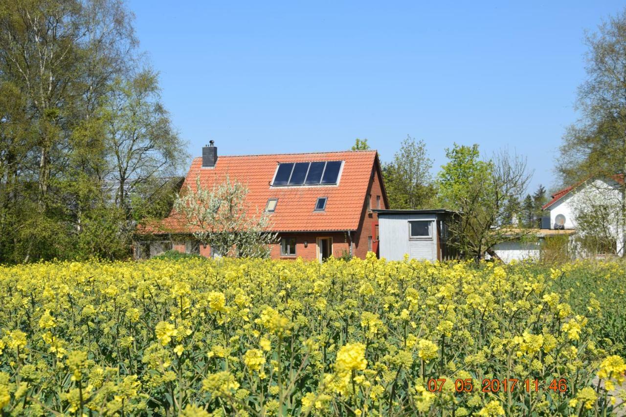 Apartment Mit Tiny House