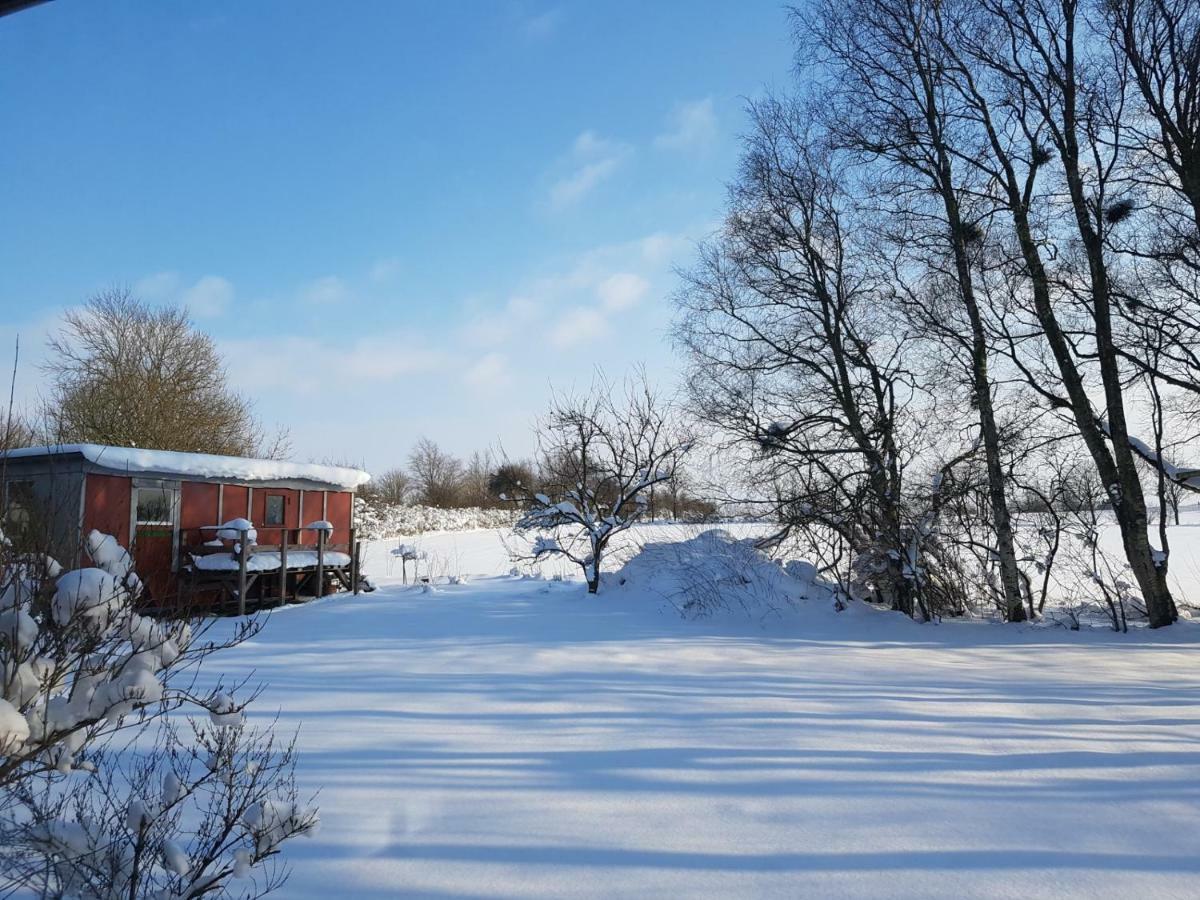 Apartment Mit Tiny House *